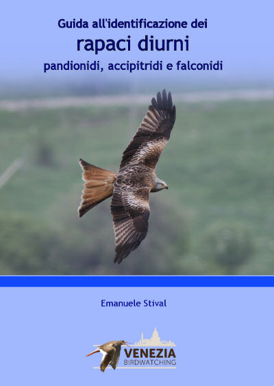Guida_rapaci_2022g.jpg