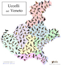 Uccelli_del_Veneto_2020_.jpg