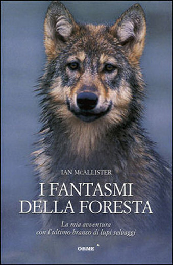 i_fantasmi_della_foresta.jpg