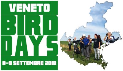 birddaysveneto.jpg