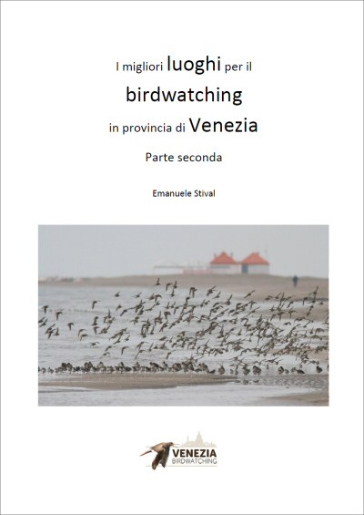 Provincia_Venezia_luoghi_birdwatching_parte_seconda.jpg