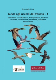Uccelli_Veneto_1.jpg