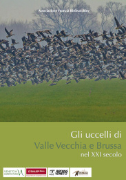Valle Vecchia_2021_.jpg