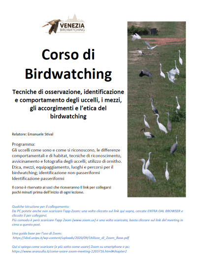 Locandina_mini_Corso_di_Birdwatching_a_distanza_2021.jpg