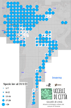 Venezia_comune_copertura_inv_2019-2021_.jpg