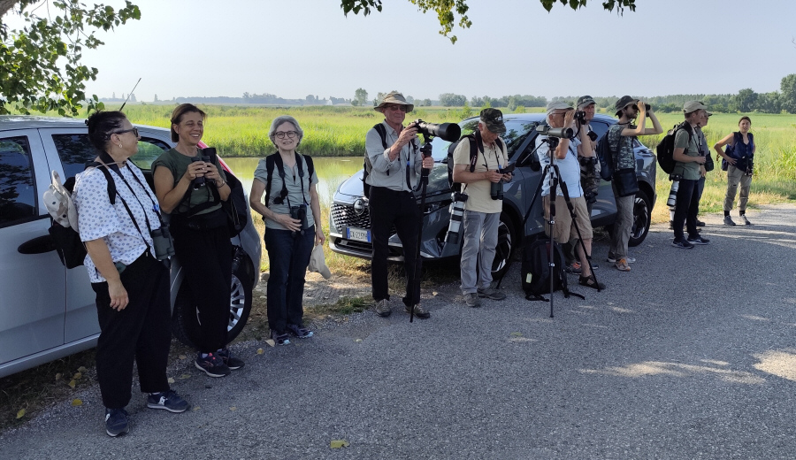 Birders_Giare_Ripristini_1_8_2026_20260801_091536cr.jpg