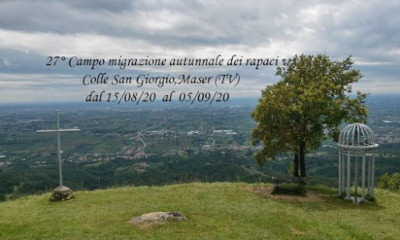 Migrazione_rapaci_colli_asolani_2020