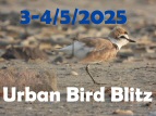 urban_blitz_2025.JPG