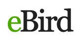 ebird.jpg