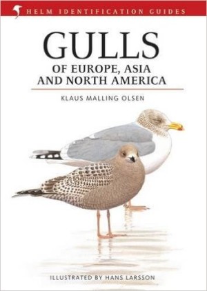 gulls_helm.jpg