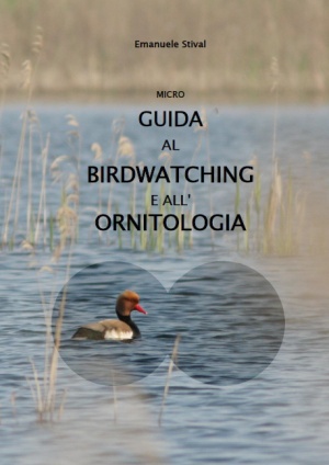 micro_guida_bw_or.jpg