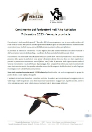 Censimento_Fenicotteri_Venezia_2023.jpg
