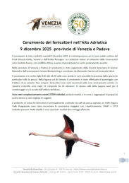 Censimento_Fenicotteri_Venezia_Padova_2025.jpg