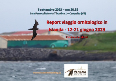 Locandina_Stival_6_9_2023g.jpg