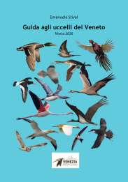 guida_uccelli_veneto_3_2026.jpg