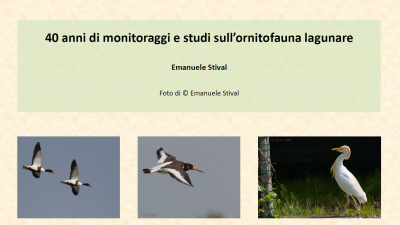 ../report/40_anni_monitoraggi_laguna_Venezia_2026.jpg