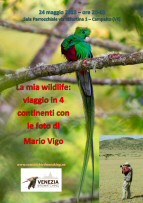 serata_24_5_2023.jpg