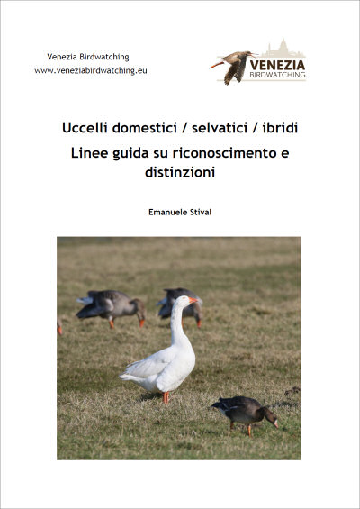uccelli_domestici_selvatici_e_ibridi_.jpg