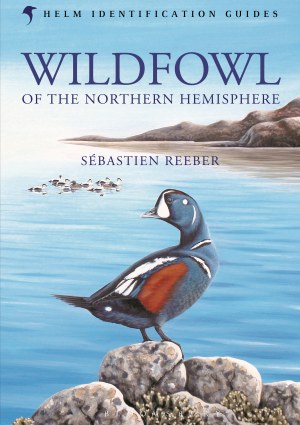 wildfowl_bloomsbury_.jpg